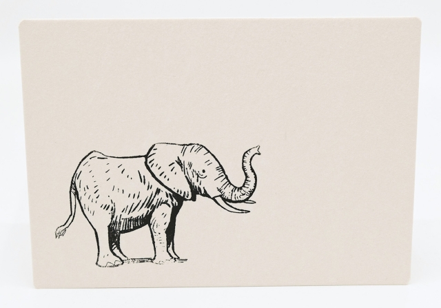 Elefant