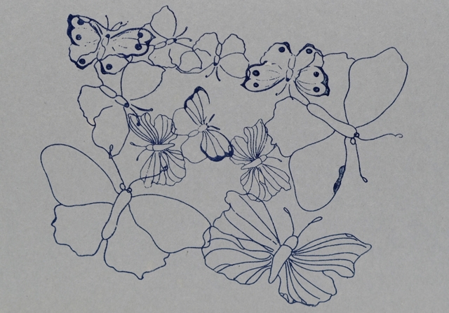 Schmetterlinge blau grau