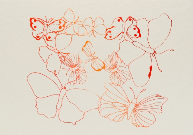 Schmetterlinge orange rot