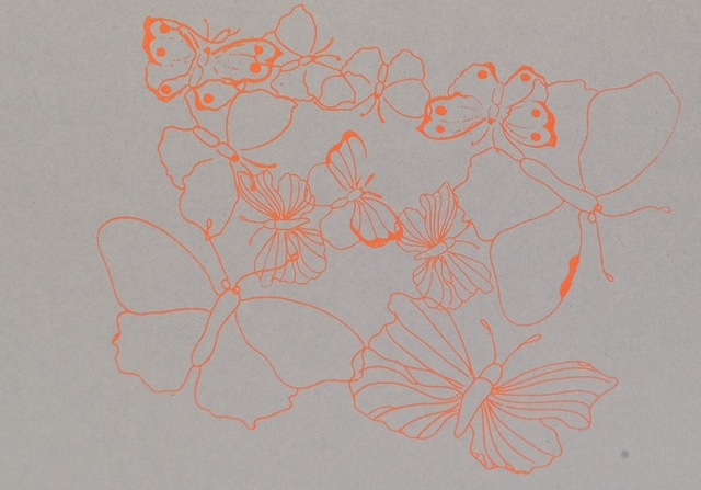 Schmetterlinge orange