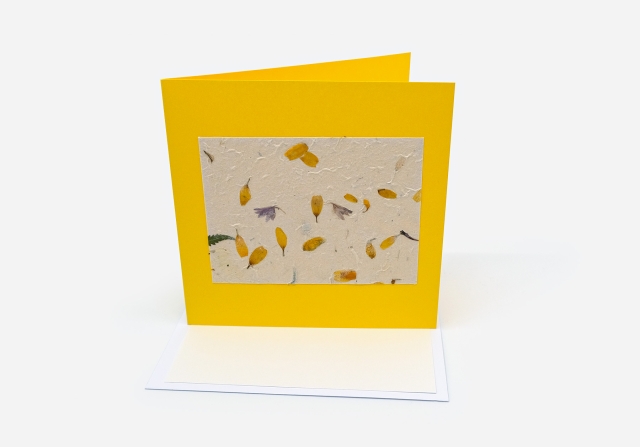 Bl&uuml;tenbl&auml;tter gelb