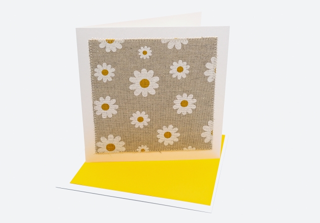 Margeriten weiss gelb