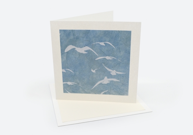 M&ouml;ven leicht transparent