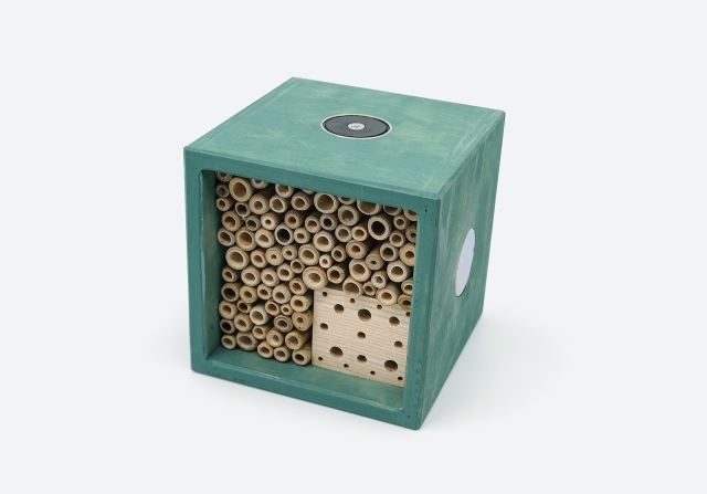 Cube T&uuml;rkis dunkel