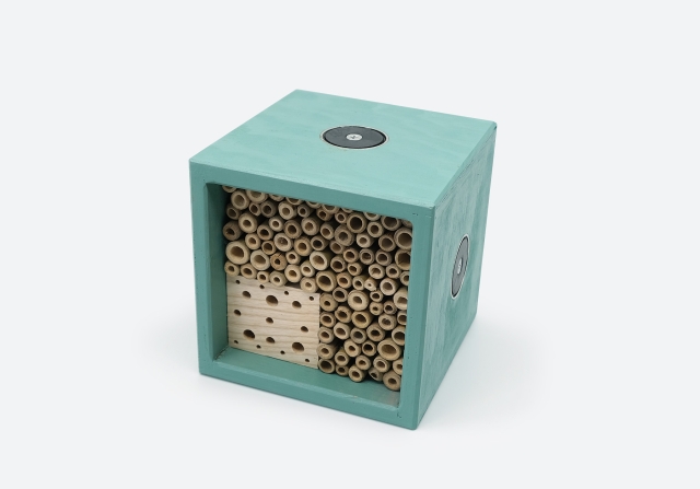 Cube T&uuml;rkis mittel