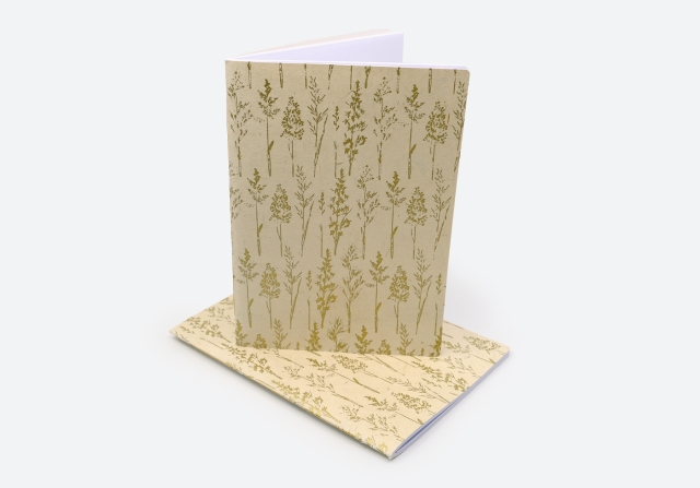 Heft &Auml;hren gold beige