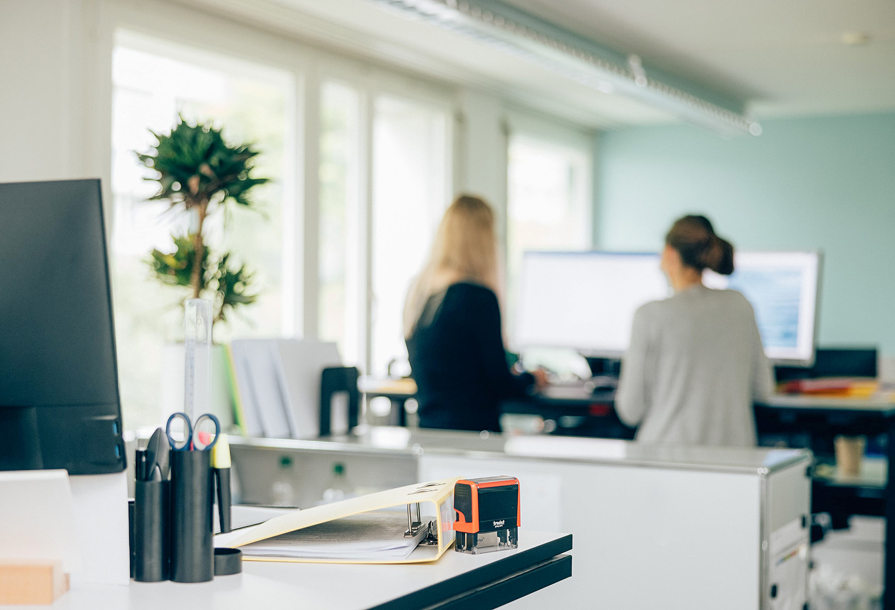 Ausbildung und Coaching