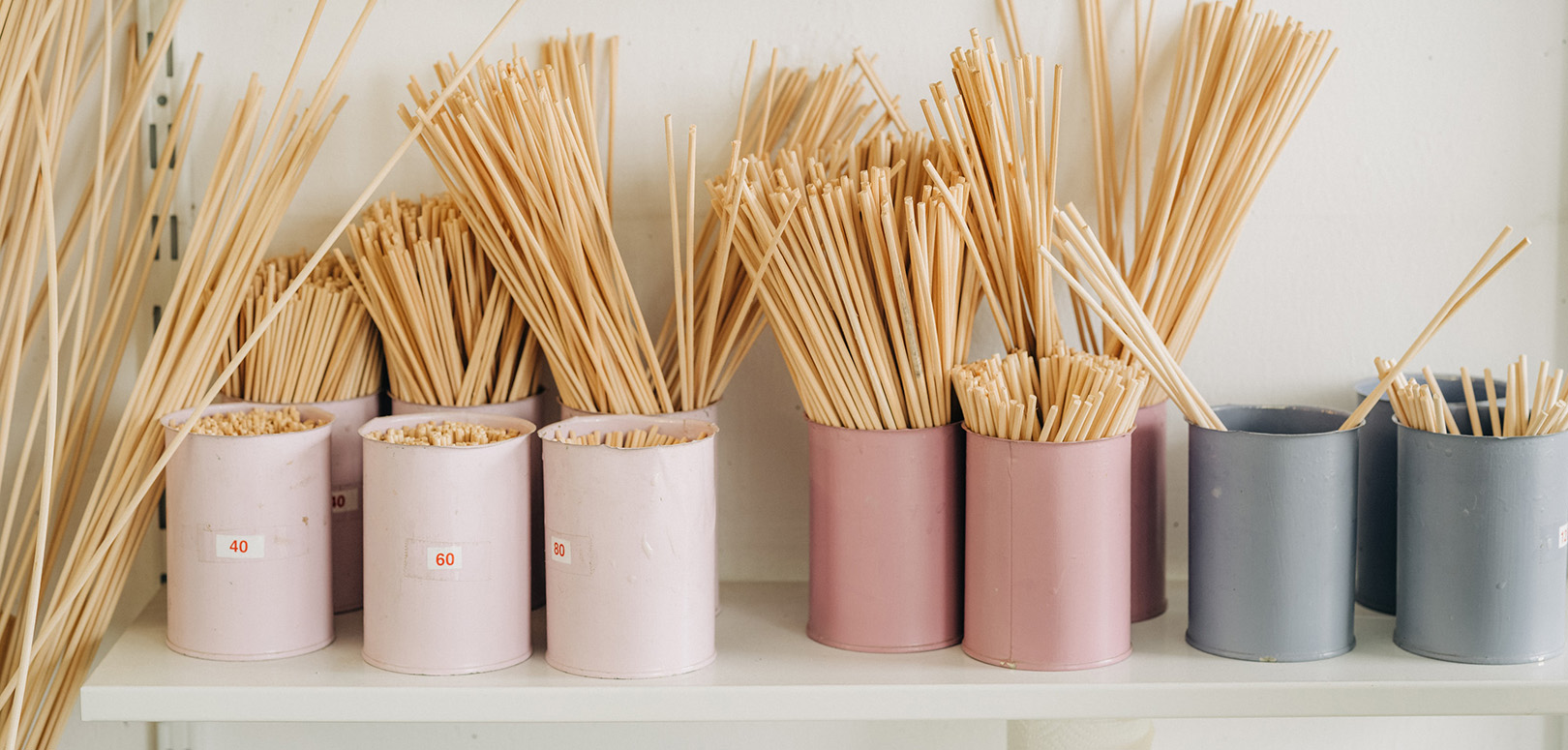 Dienstleistungen und Angebot